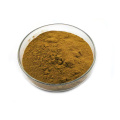 Wholesale Supply Tongkat Ali Extract Powder